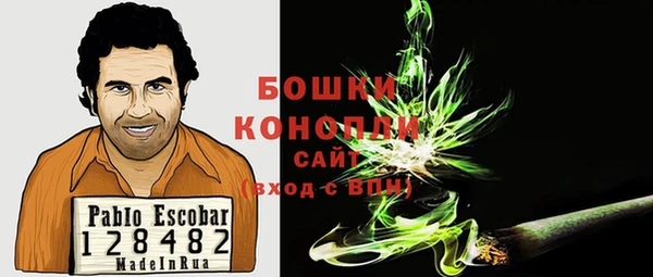 spice Богданович