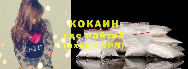 дживик Богородск