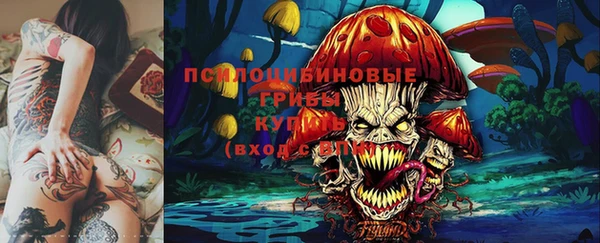 spice Богданович