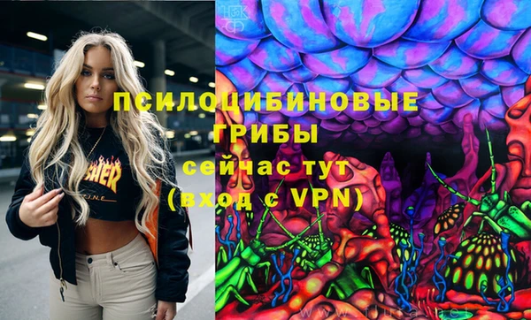 spice Богданович