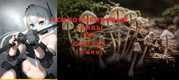 spice Богданович