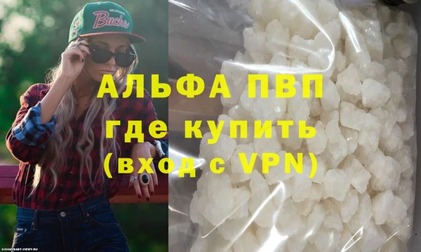 spice Богданович